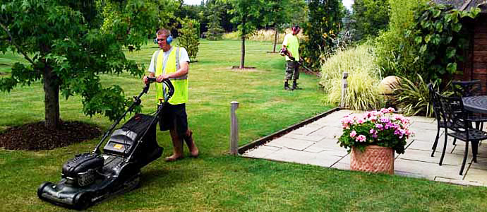 lawn and garden maintenance